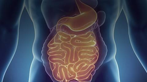Extraintestinal Findings in Inflammatory Bowel Disease