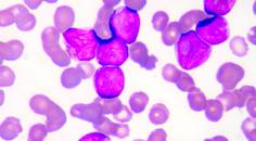 ReachMD Healthcare Image