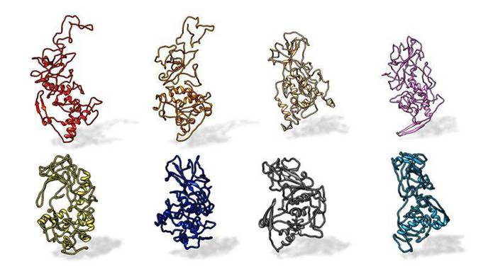 Antibody Binding-Site Conserved Across COVID-19 Virus Variants