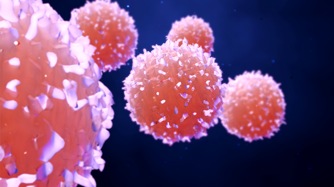 ReachMD Healthcare Image