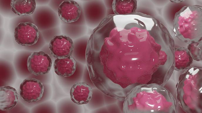 Study Provides Clarity On Use of Anticoagulants in Gastrointestinal Cancers