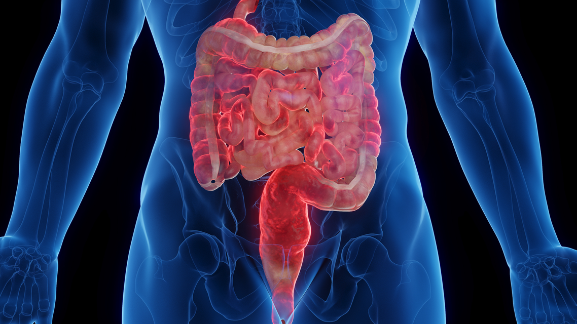 ReachMD Healthcare Image