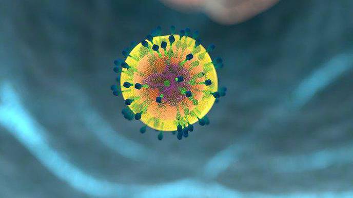 Tevogen Bio Announces FDA Clearance of Investigational New Drug (IND) Application For its Cytotoxic T Cell Therapy for COVID-19