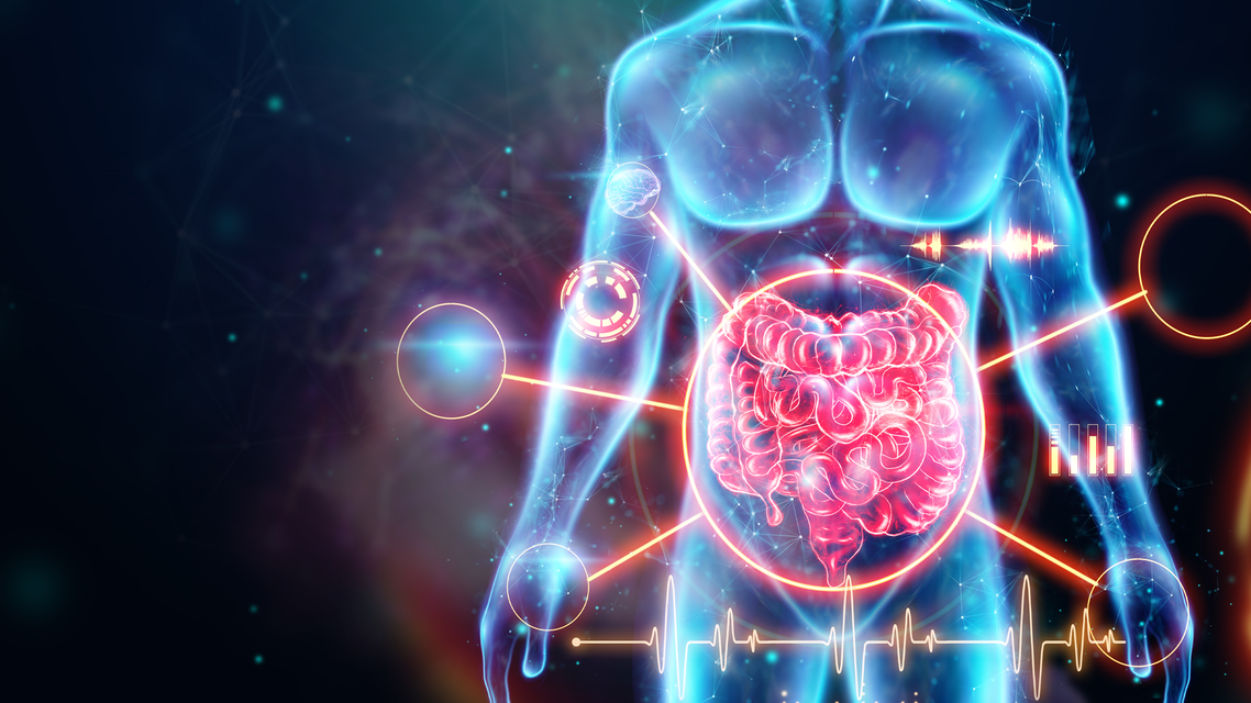 ReachMD Healthcare Image