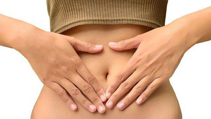High-Fat Diet with Antibiotics Use Linked to Gut Inflammation
