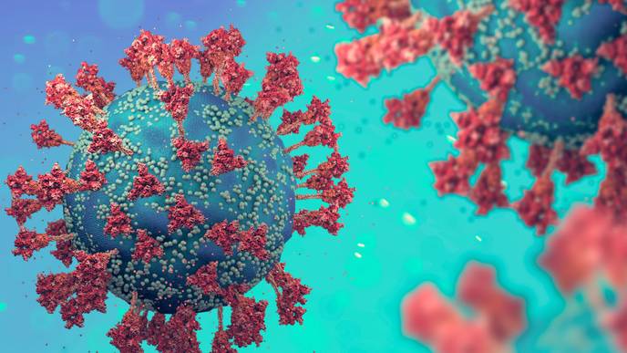 ReachMD Healthcare Image