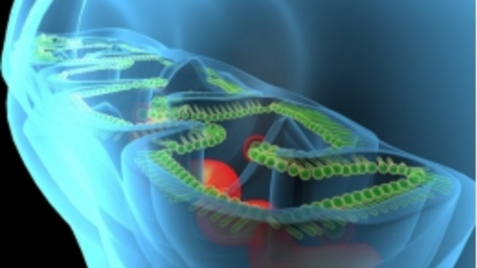ReachMD Healthcare Image