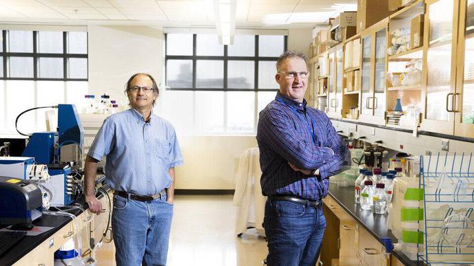 Experts Discuss the 'Second Brain': The Gut Microbiome