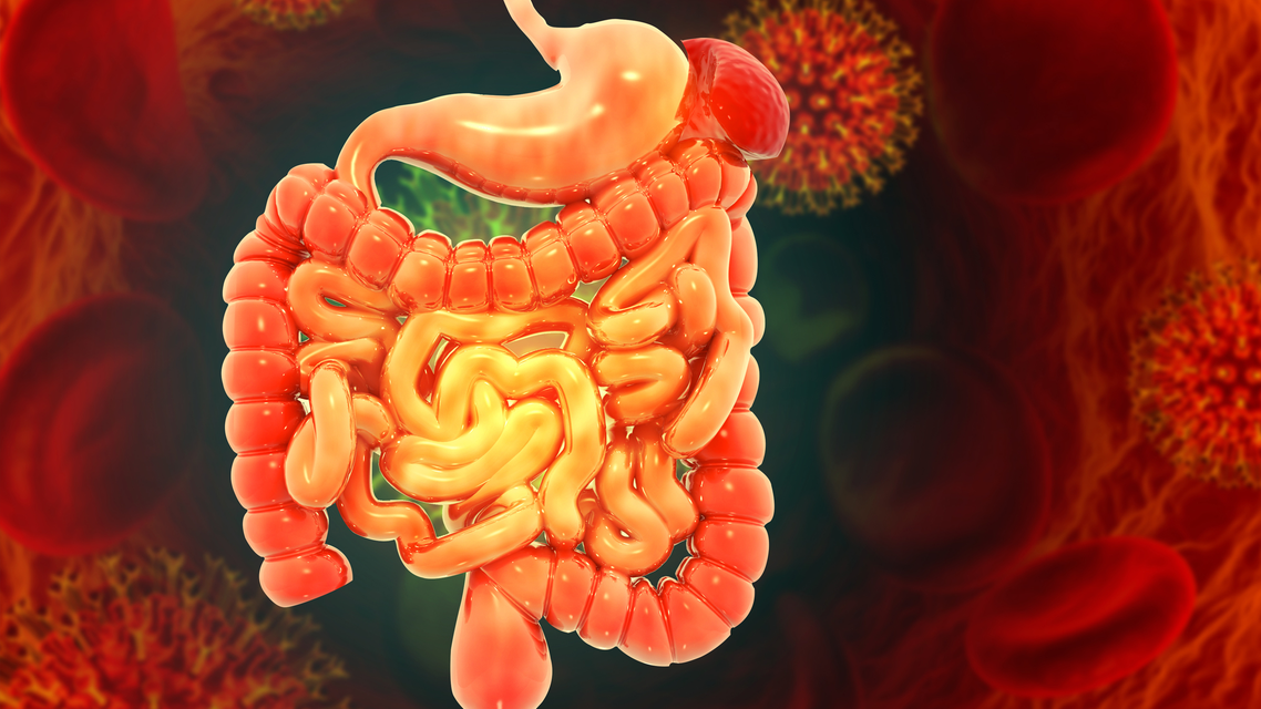 ReachMD Healthcare Image