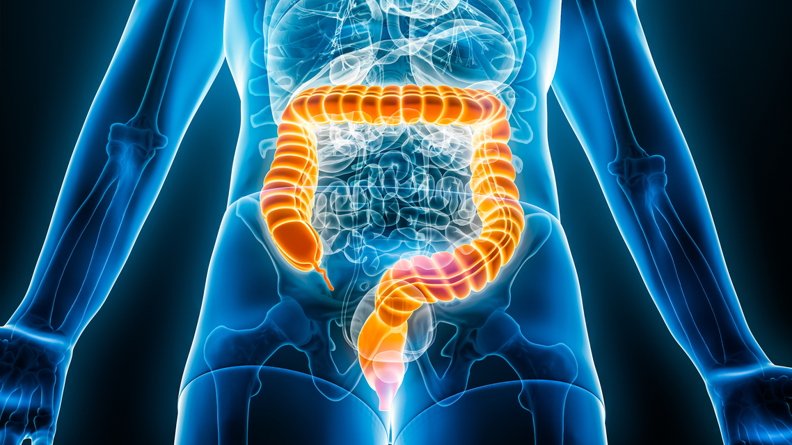 ReachMD Healthcare Image