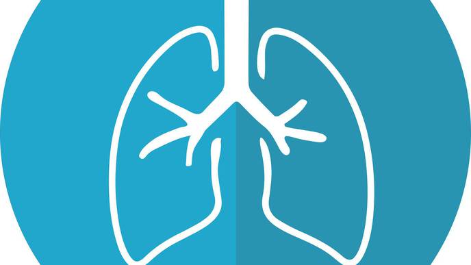 3D 'Lung-on-a-Chip' Model Developed to Test New Therapies for COVID-19 & Other Lung Conditions
