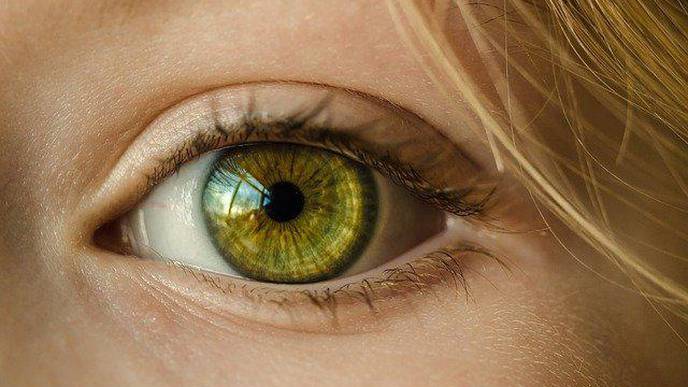Melanoma of the Eye: Preclinical Tests Show Path Toward Treatment