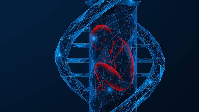 ReachMD Healthcare Image