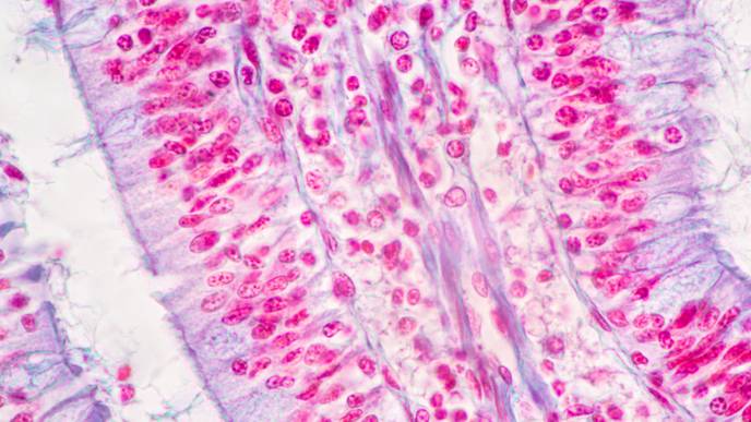 ReachMD Healthcare Image