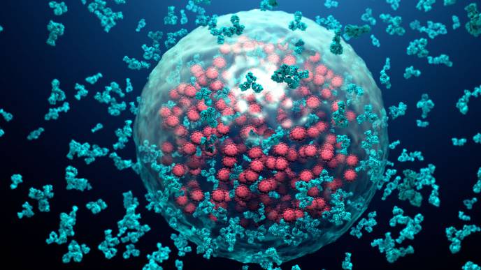 ReachMD Healthcare Image