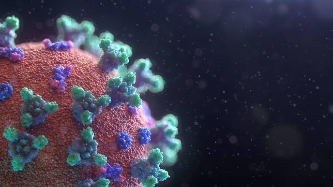 Virus Detection Method Is Versatile & Accessible