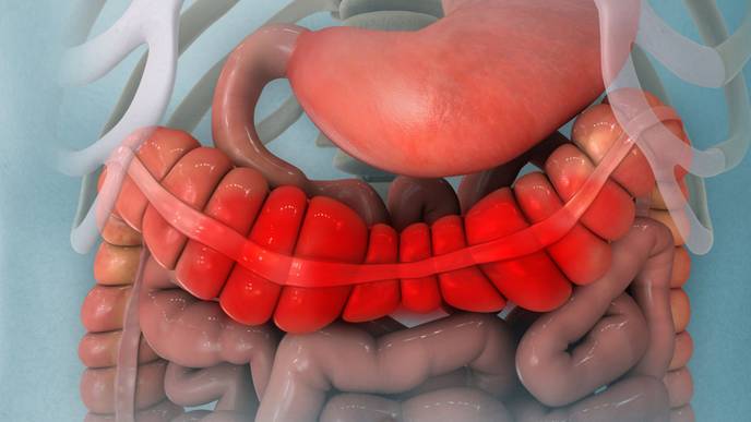 ReachMD Healthcare Image