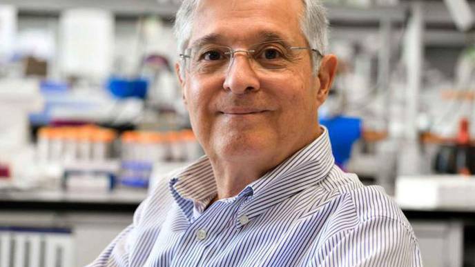 Study Supports Gene Therapy as a Promising Treatment for Soft Bone Disease