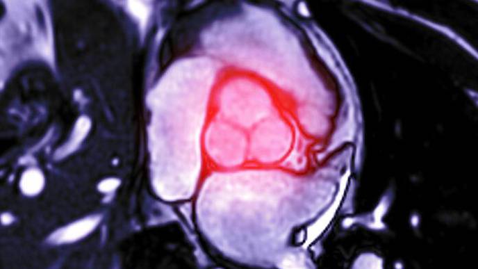ReachMD Healthcare Image