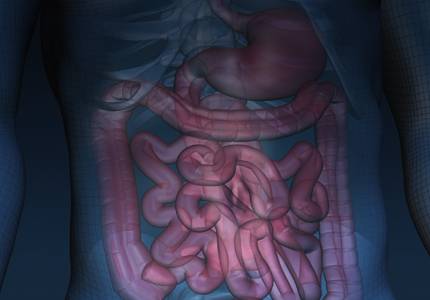 ReachMD Healthcare Image