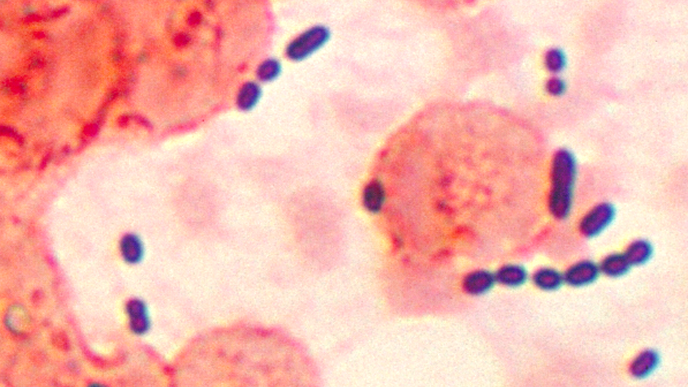 ReachMD Healthcare Image
