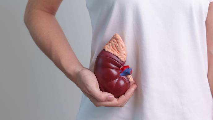 ReachMD Healthcare Image