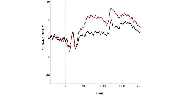 Pregnant Women's Brains Show Troubling Signs of Stress, but Feeling Strong Social Support Can Break Those Patterns