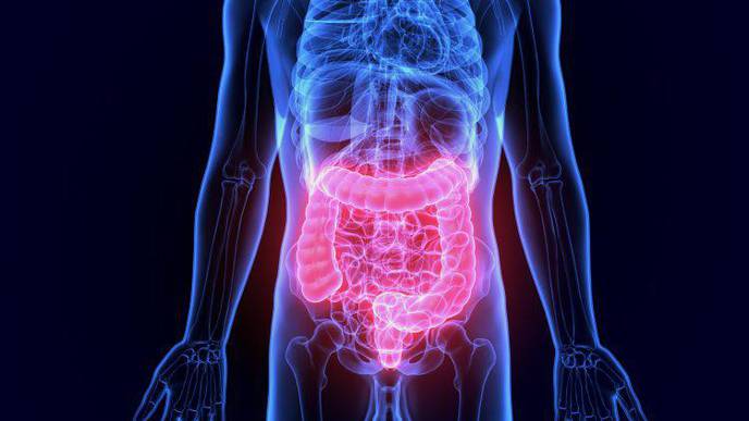 Abnormal Stool Test Result? Don't Delay Your Colonoscopy