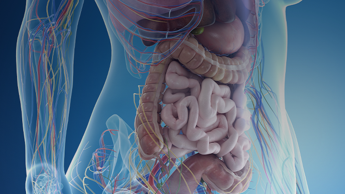 ReachMD Healthcare Image