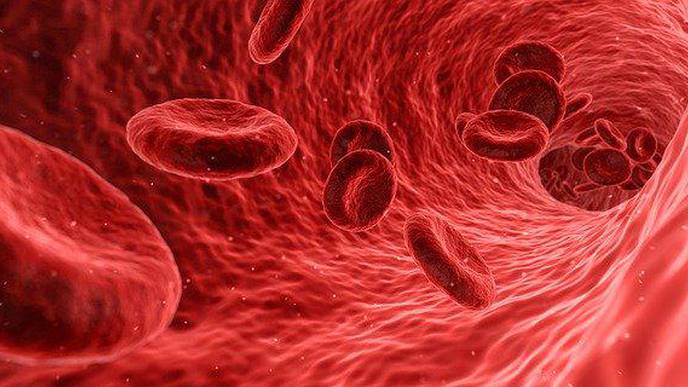 Virus in the Blood Can Predict Severe COVID-19