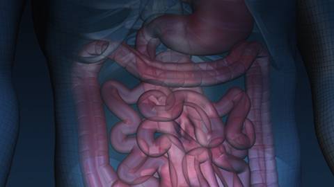 Detecting Small Bowel Abnormalities in Pediatric Patients