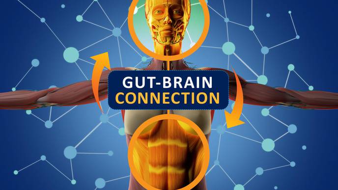 Gut Microbiome May Provide Novel Therapies for Neurological Disorders