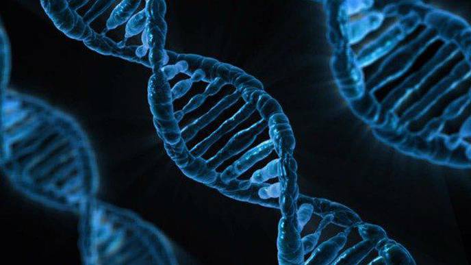 Common Antibiotic Found Useful in Accelerating Recovery in Tuberculosis Patients