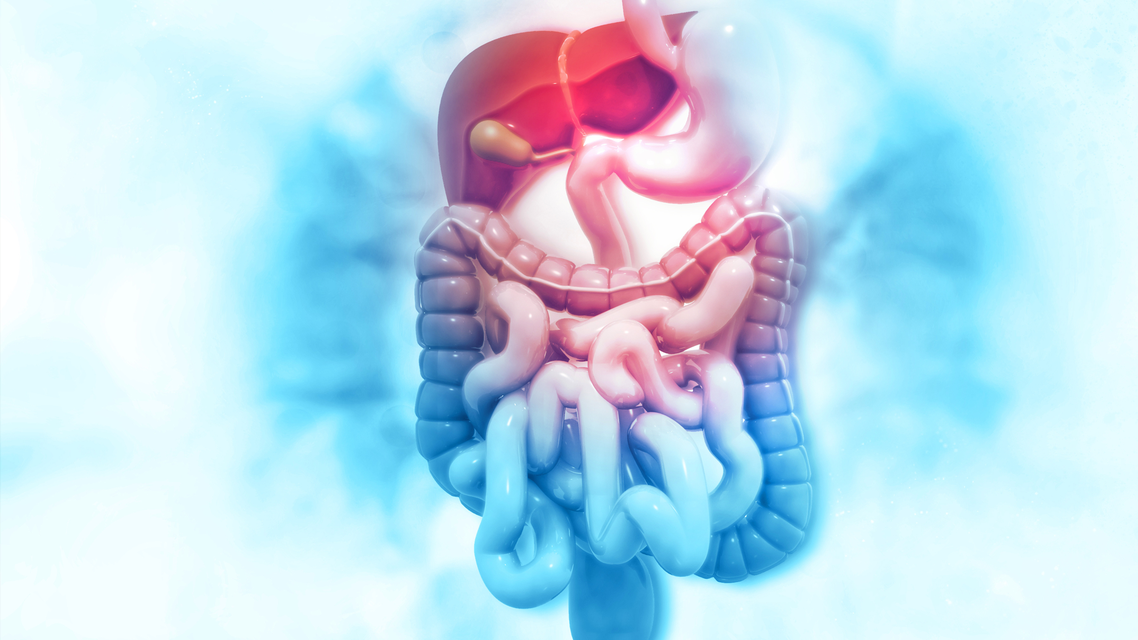 ReachMD Healthcare Image