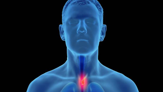 ReachMD Healthcare Image