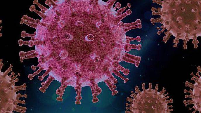 WHO: COVID-19 Is 10 Times More Deadly Than Swine Flu