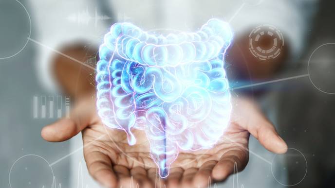 ReachMD Healthcare Image