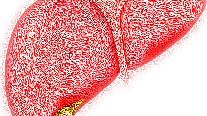 Liver Condition Identified in Patients Using Urine Samples