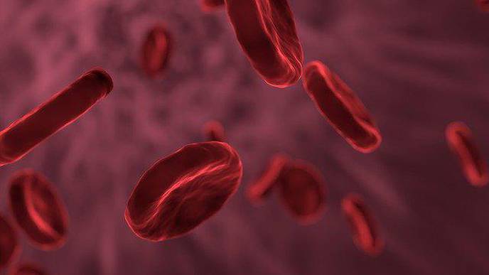 Targeting Plasmacytoid Dendritic Cells Can Reduce Cutaneous Lupus Symptoms