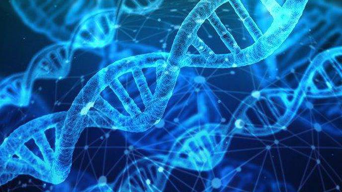 Genetic Test Predicts Risk of Drugs Causing Liver Injury