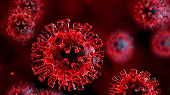 Autopsies Reveal Surprising Cardiac Changes in COVID-19 Patients