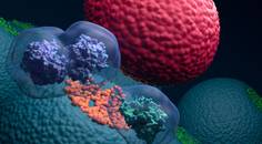 ReachMD Healthcare Image