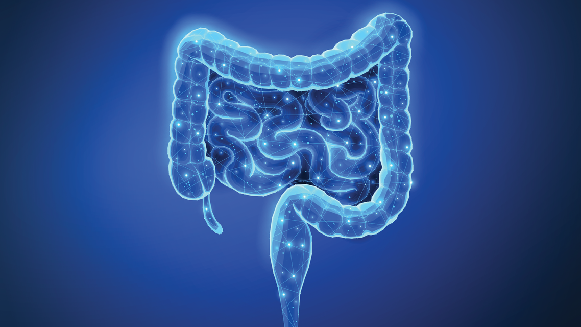 ReachMD Healthcare Image