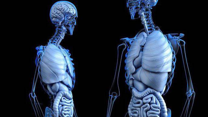 Study Explains Why Patients with Cancer Spread to the Liver Have Worse Outcomes