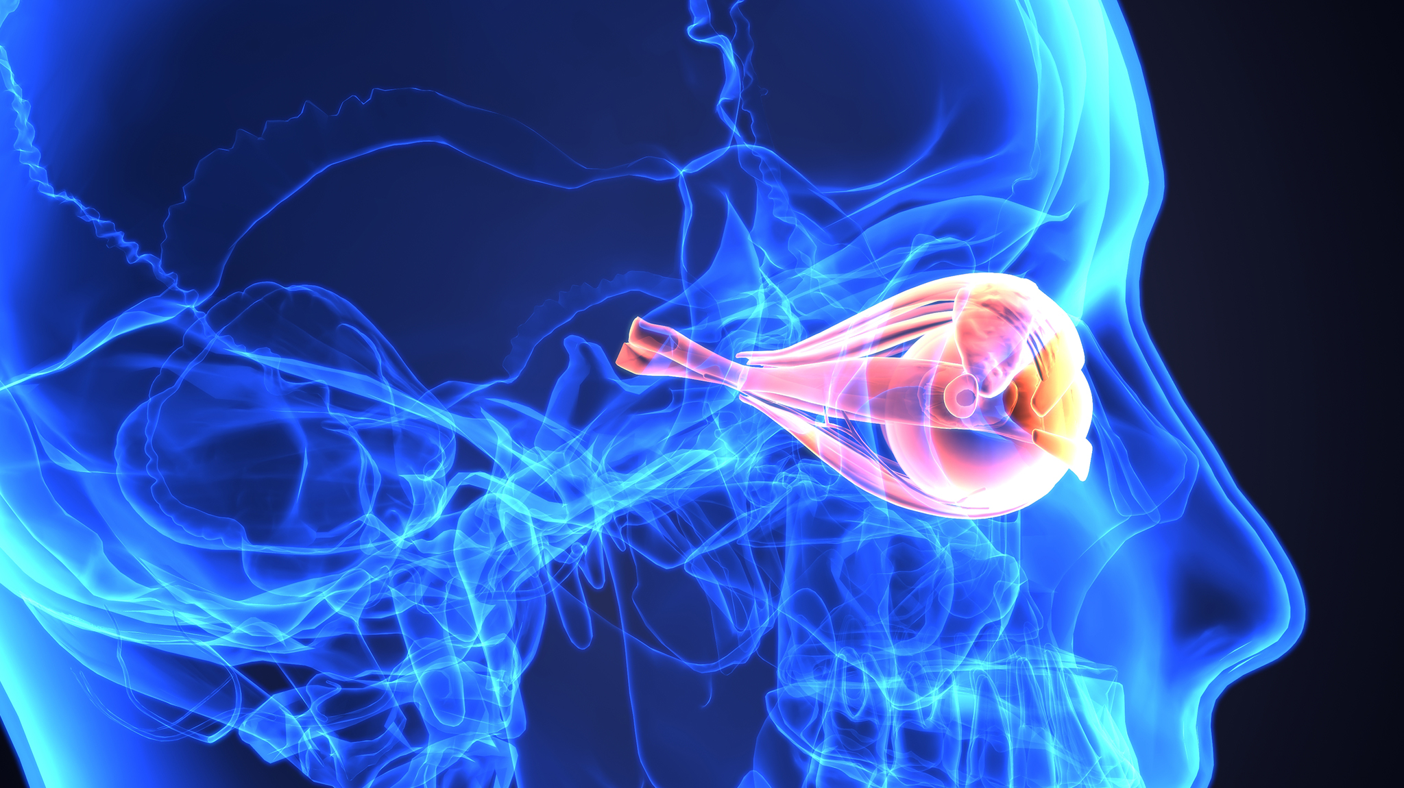 Retina/Vitreous - Crohn's Colitis Professional