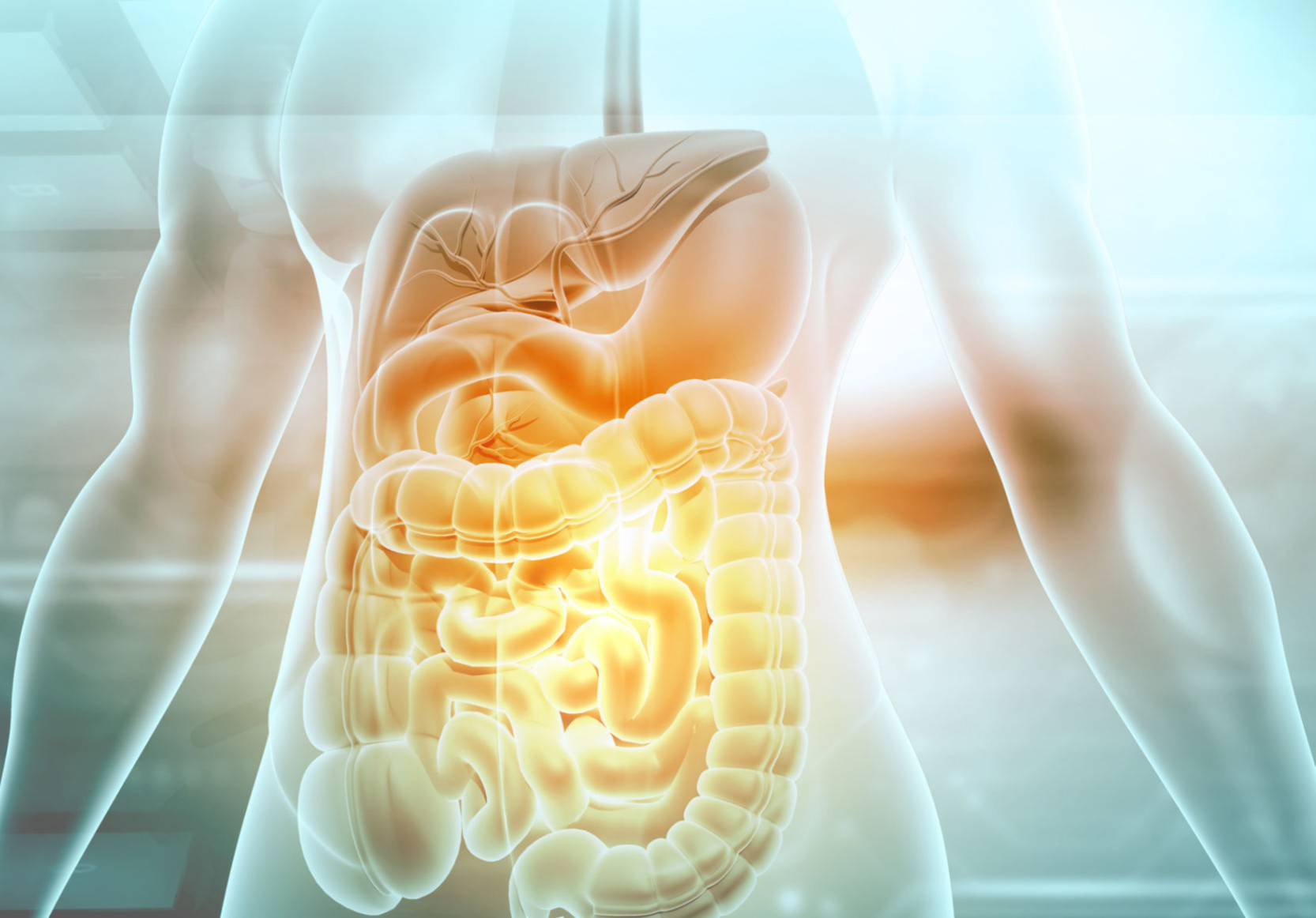 Road of Recovery in Gastrointestinal Surgery: From ERAS to FRAS ...